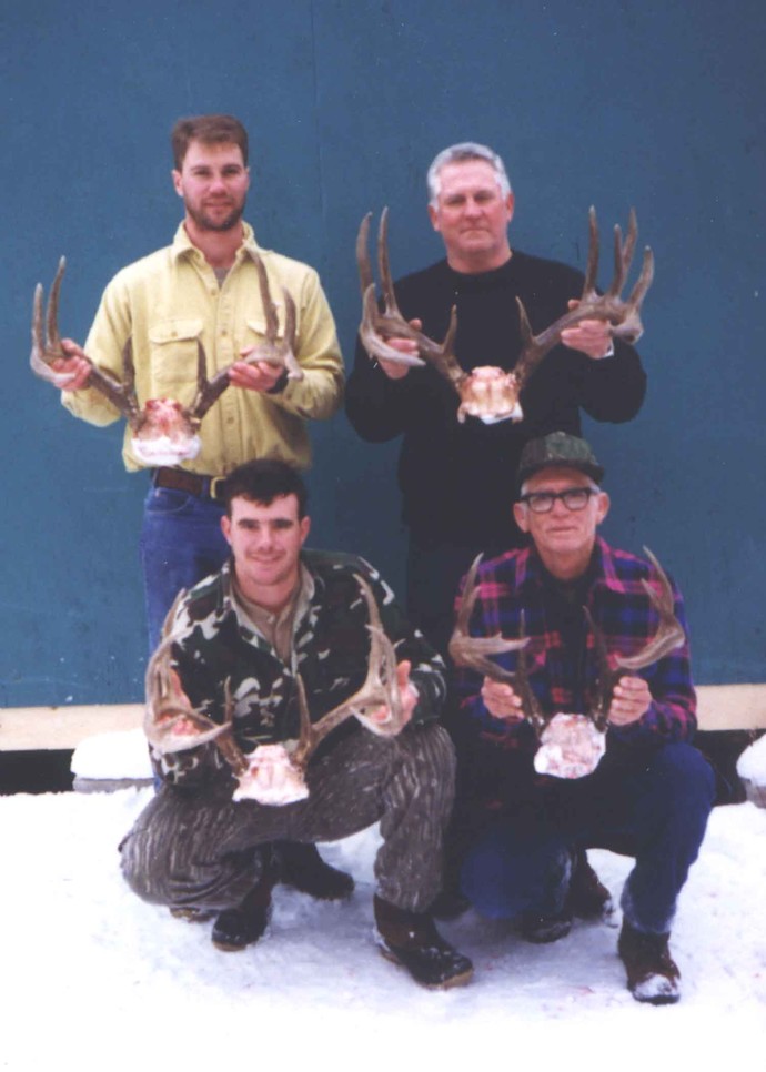 Archives of whitetail deer Photo