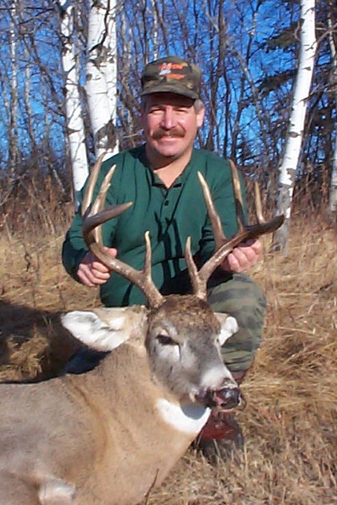 Archives of whitetail deer Photo