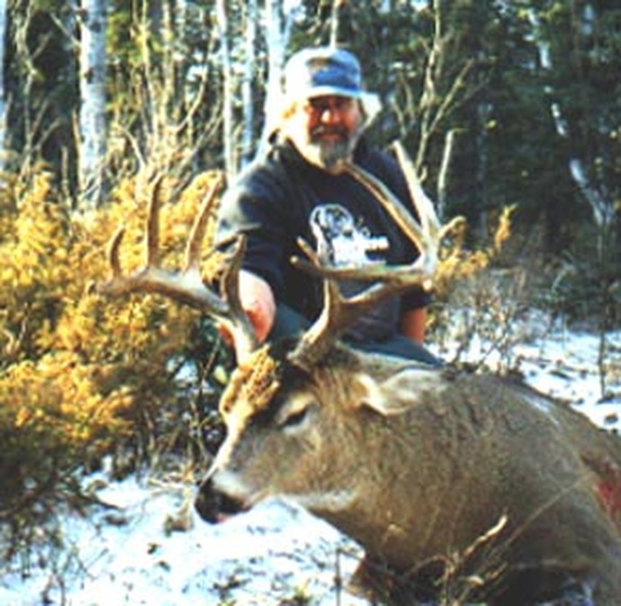 Archives of whitetail deer Photo