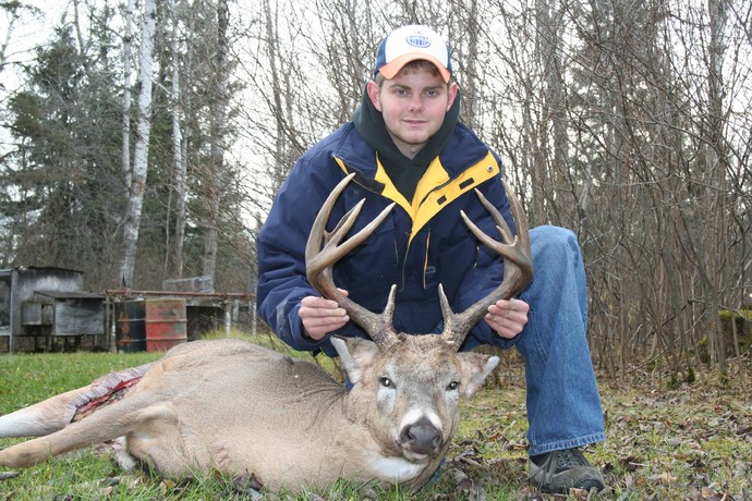 Archives of whitetail deer Photo