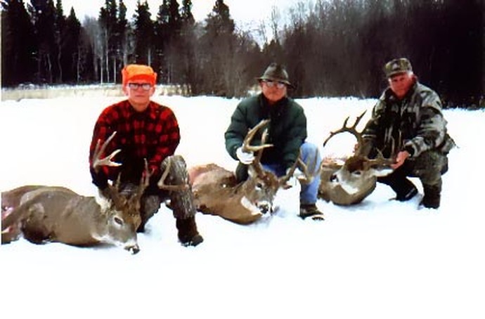 Archives of whitetail deer Photo