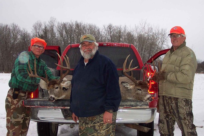 Archives of whitetail deer Photo