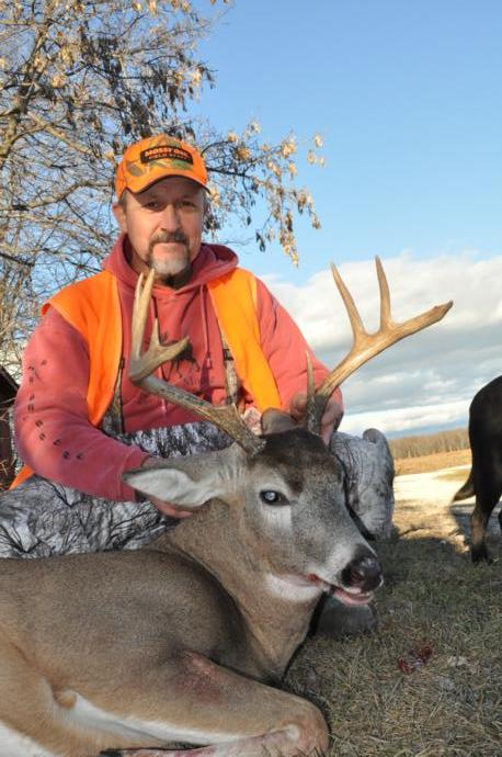 2016 deer Photo