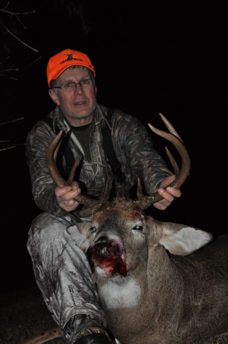 2016 deer Photo