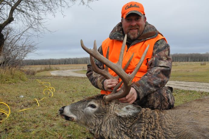 2015 deer Photo