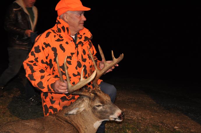2015 deer Photo