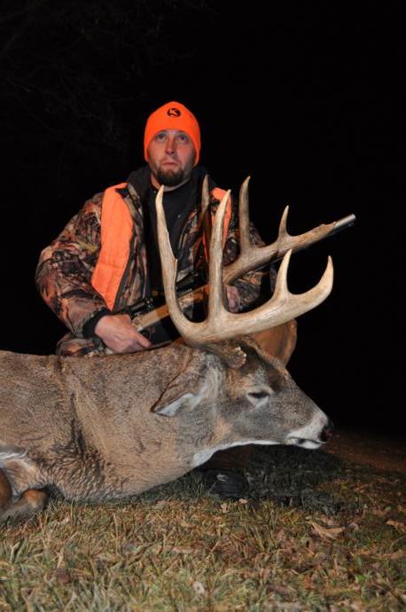 2015 deer Photo