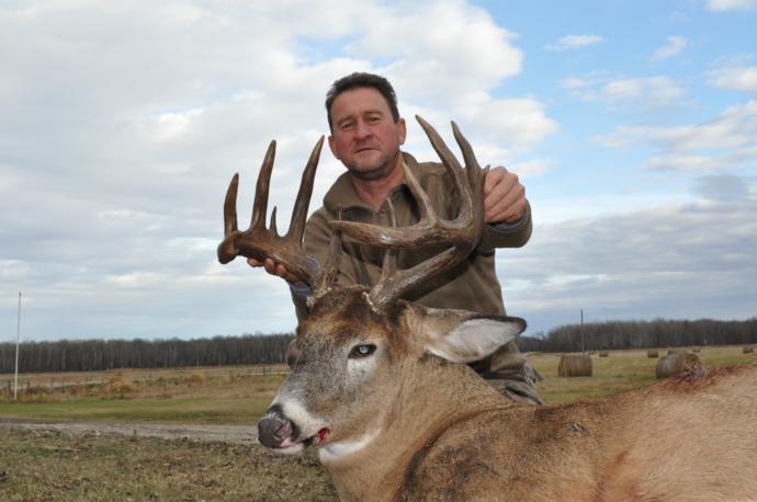 2015 deer Photo