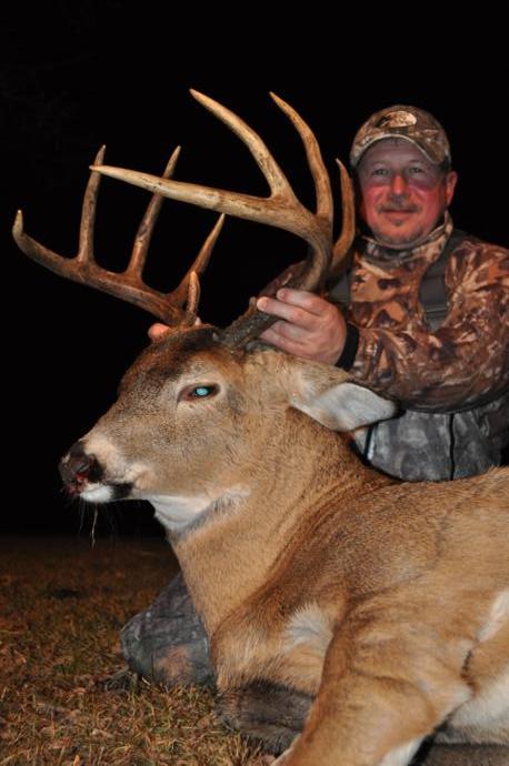 2015 deer Photo