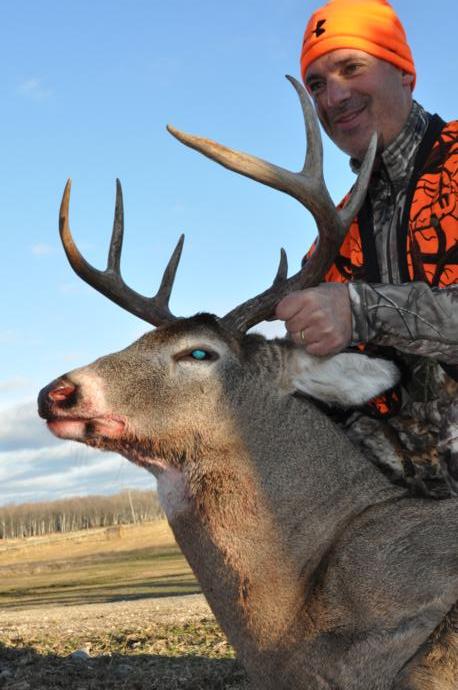 2015 deer Photo