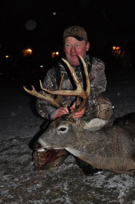 2015 deer Photo