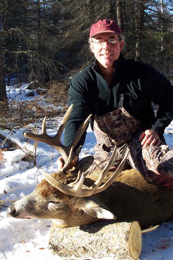 Archives of whitetail deer Photo