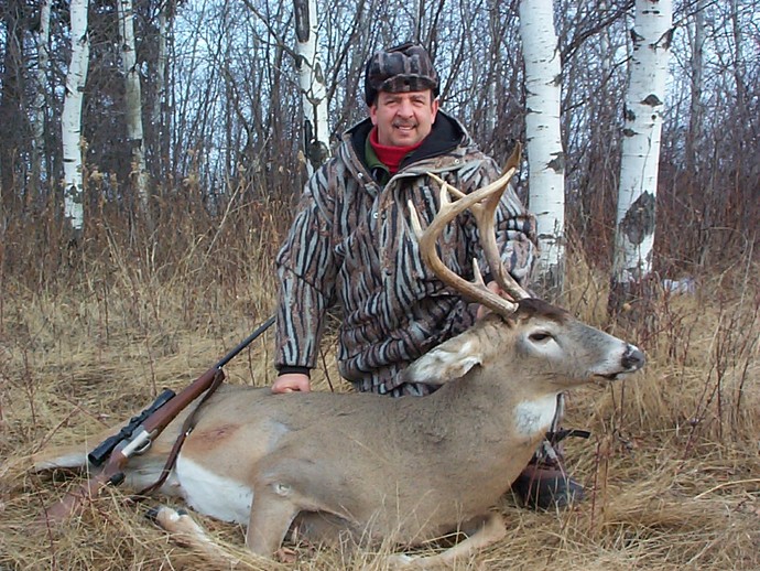 Archives of whitetail deer Photo