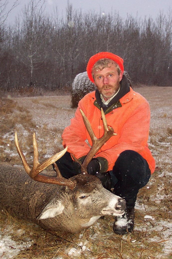 Archives of whitetail deer Photo