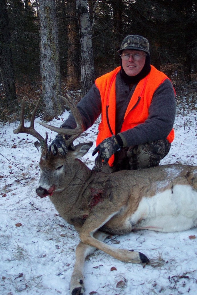 Archives of whitetail deer Photo