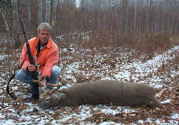 Archives of whitetail deer Photo