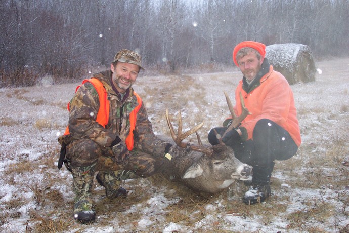 Archives of whitetail deer Photo