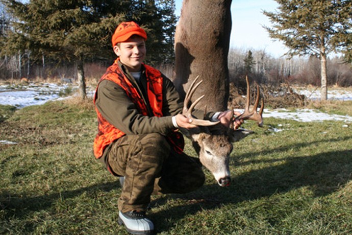 Archives of whitetail deer Photo