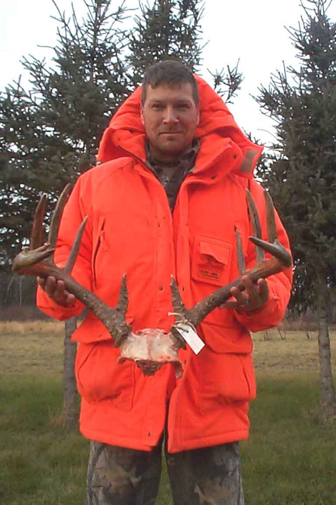 Archives of whitetail deer Photo
