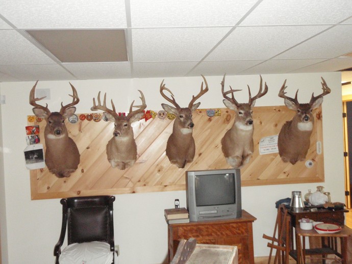 Trophy Whitetails recent years Photo