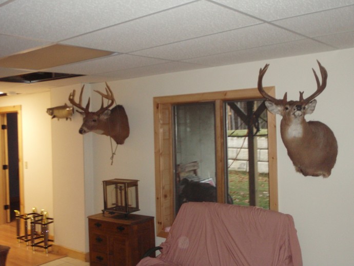 Trophy Whitetails recent years Photo