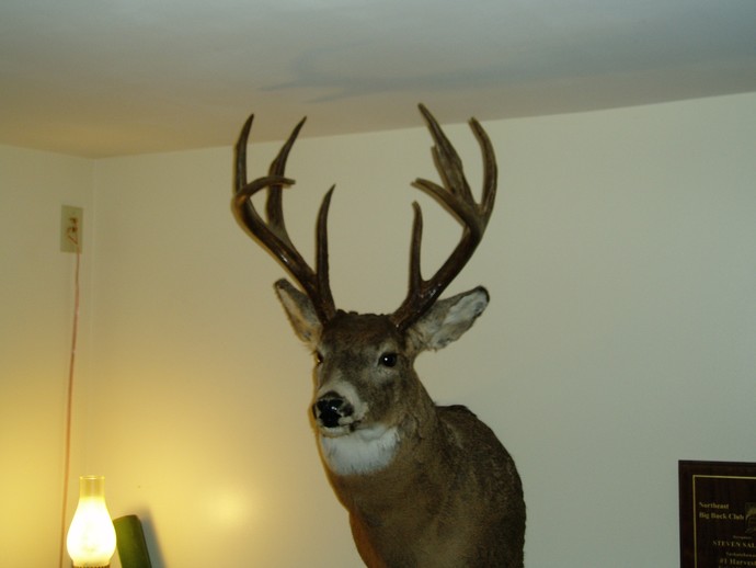 Trophy Whitetails recent years Photo