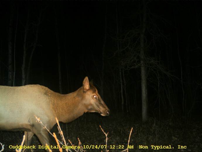 Misc Photo