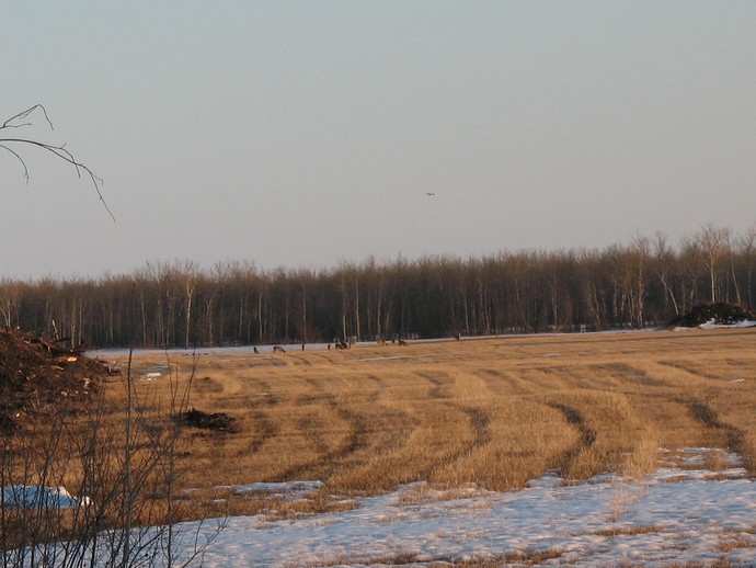 The Hunt Photo