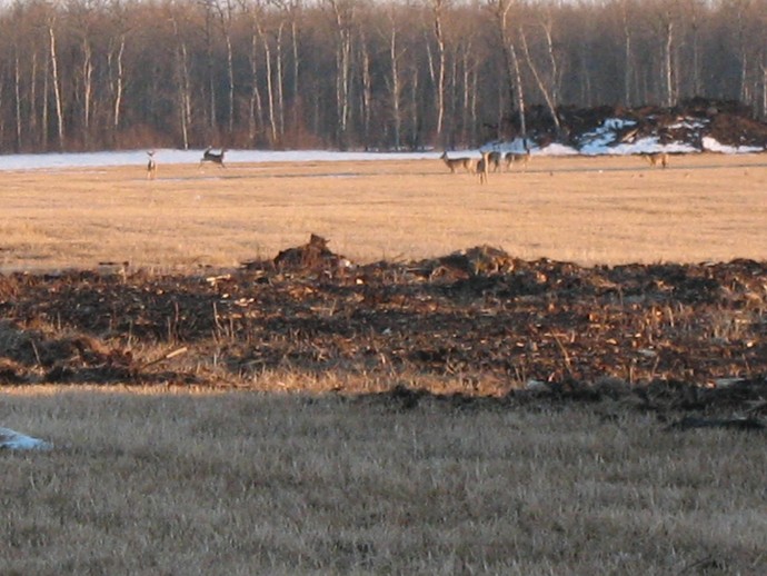 The Hunt Photo