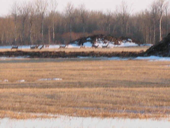 The Hunt Photo