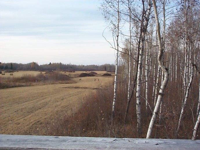 The Hunt Photo