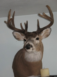 View The Photo Gallery
