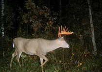 View The Photo Gallery