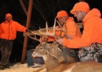 View The Photo Gallery