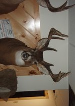 View The Photo Gallery
