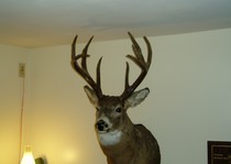 View The Photo Gallery