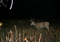 View The Photo Gallery