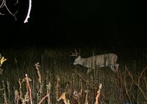 View The Photo Gallery