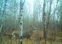 View The Photo Gallery