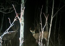 View The Photo Gallery