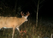 View The Photo Gallery