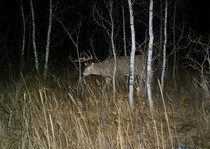 View The Photo Gallery