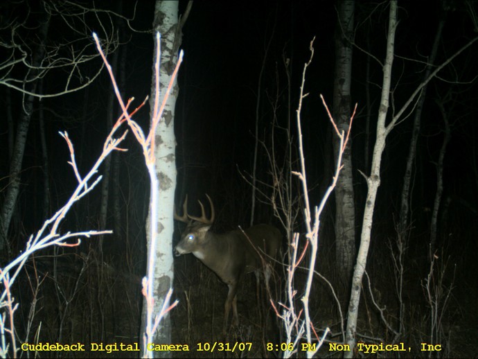 Trail Cam Photo