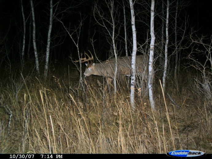 Trail Cam Photo
