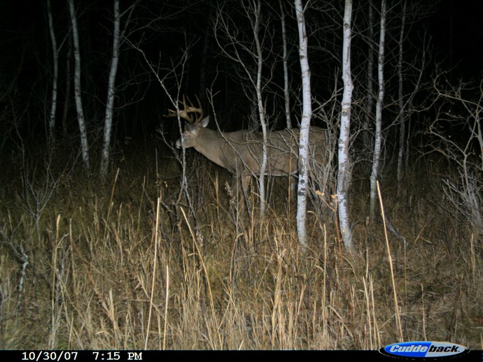 Trail Cam Photo